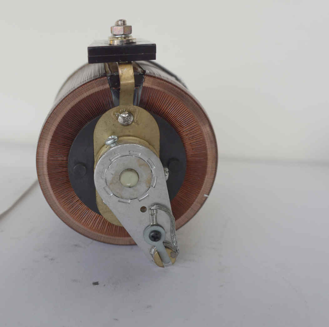 Variac Variable Transformer, Single Phase 110/220V input, 0.33KVA Max 3A, panel mount YH-103